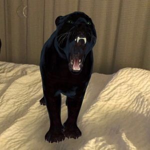 Meet your Posher, Lenora